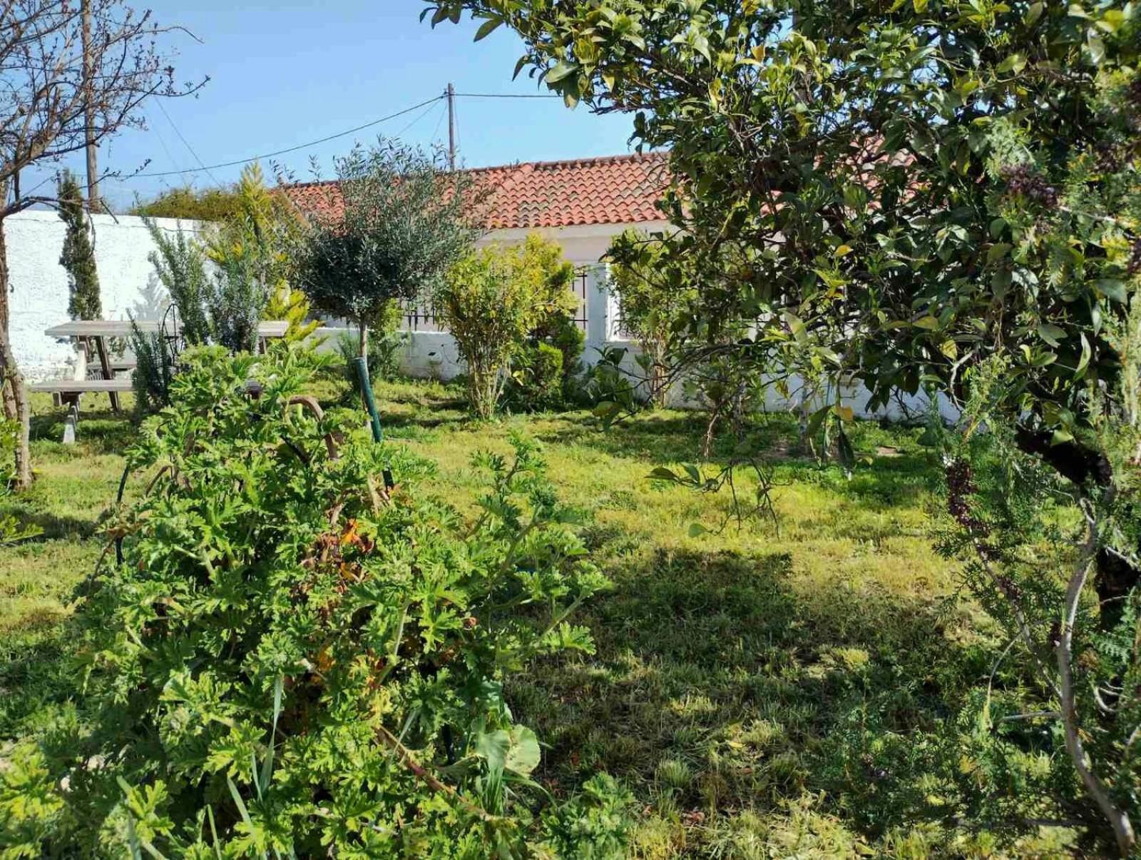 Nafplio Cottage-Grandma'S Yard Asíni エクステリア 写真